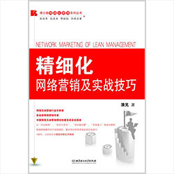 《精细化网络营销及实战技巧》